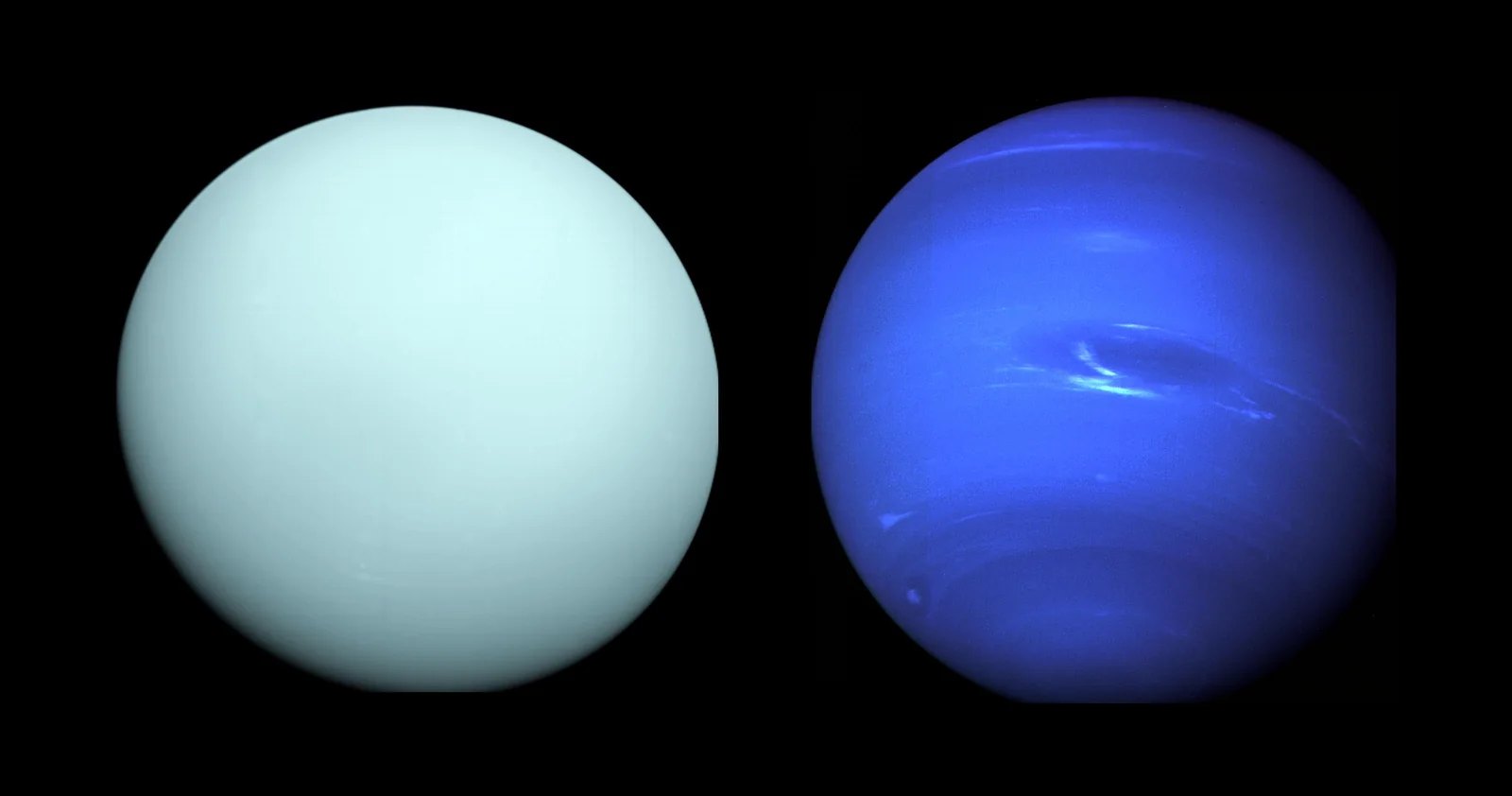 Voyager 2 images of Uranus and Neptune side by side at true relative size